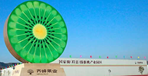 点击查看详细信息<br>标题：陕西齐峰果业有限责任公司 阅读次数：991